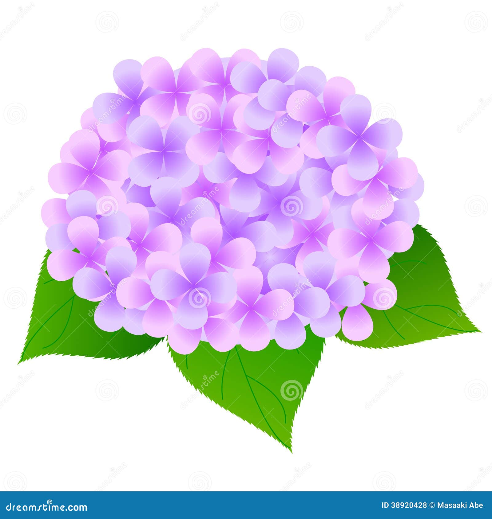 green hydrangea clip art - photo #36