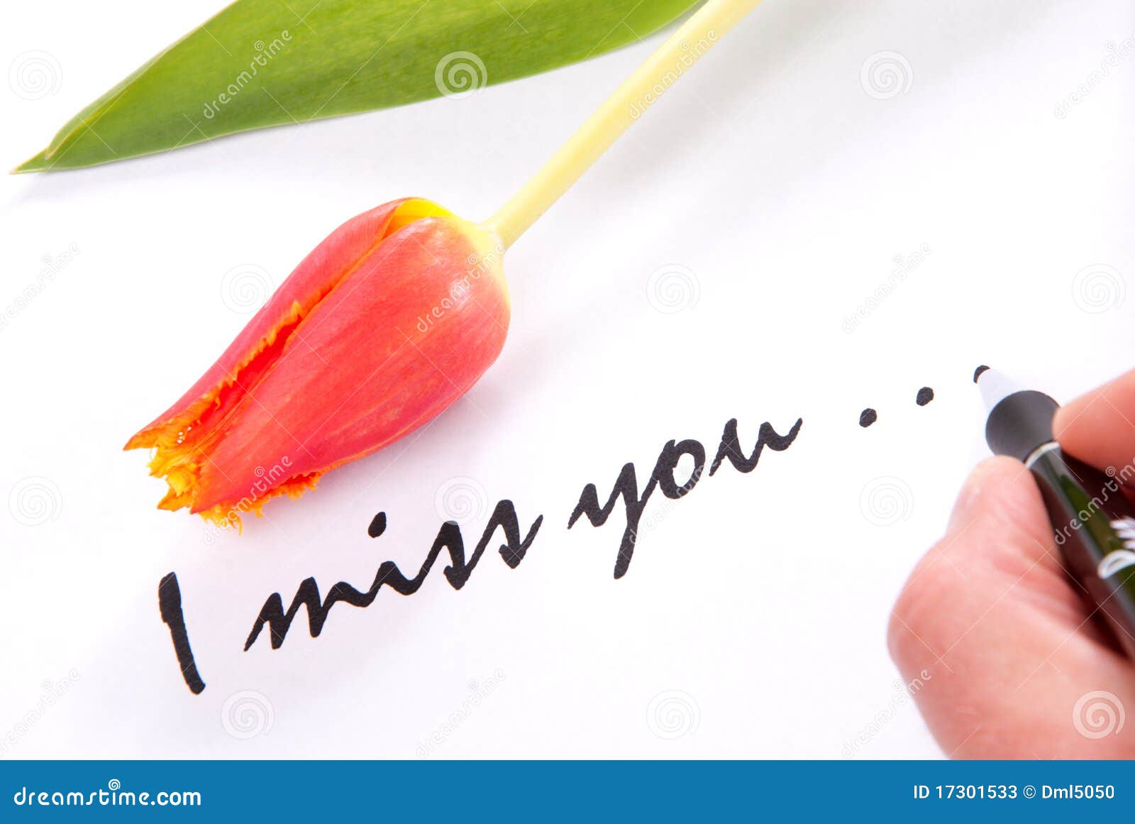 writing wedding thank you cards writing wedding thank you cards