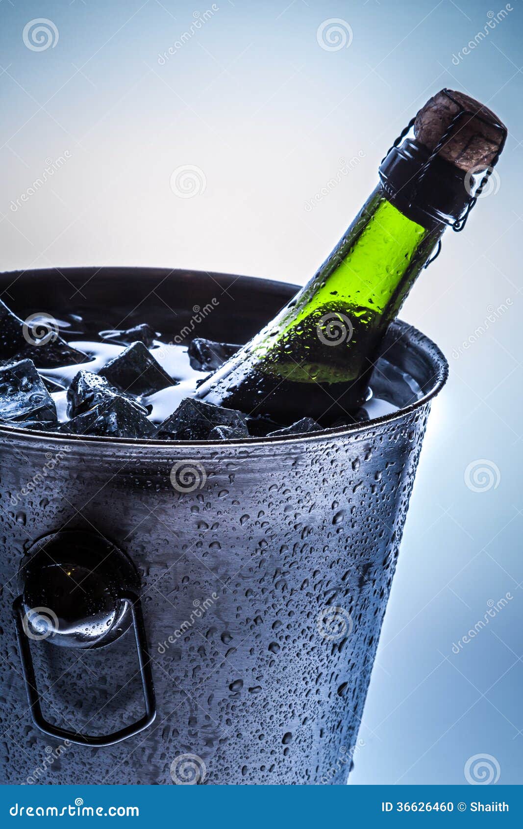Ice Cold Champagne Aka Stephanie Peyton to download Ice Cold Champagne ... Ice Cold Champagne Aka Stephanie Peyton to download Ice Cold Champagne ...