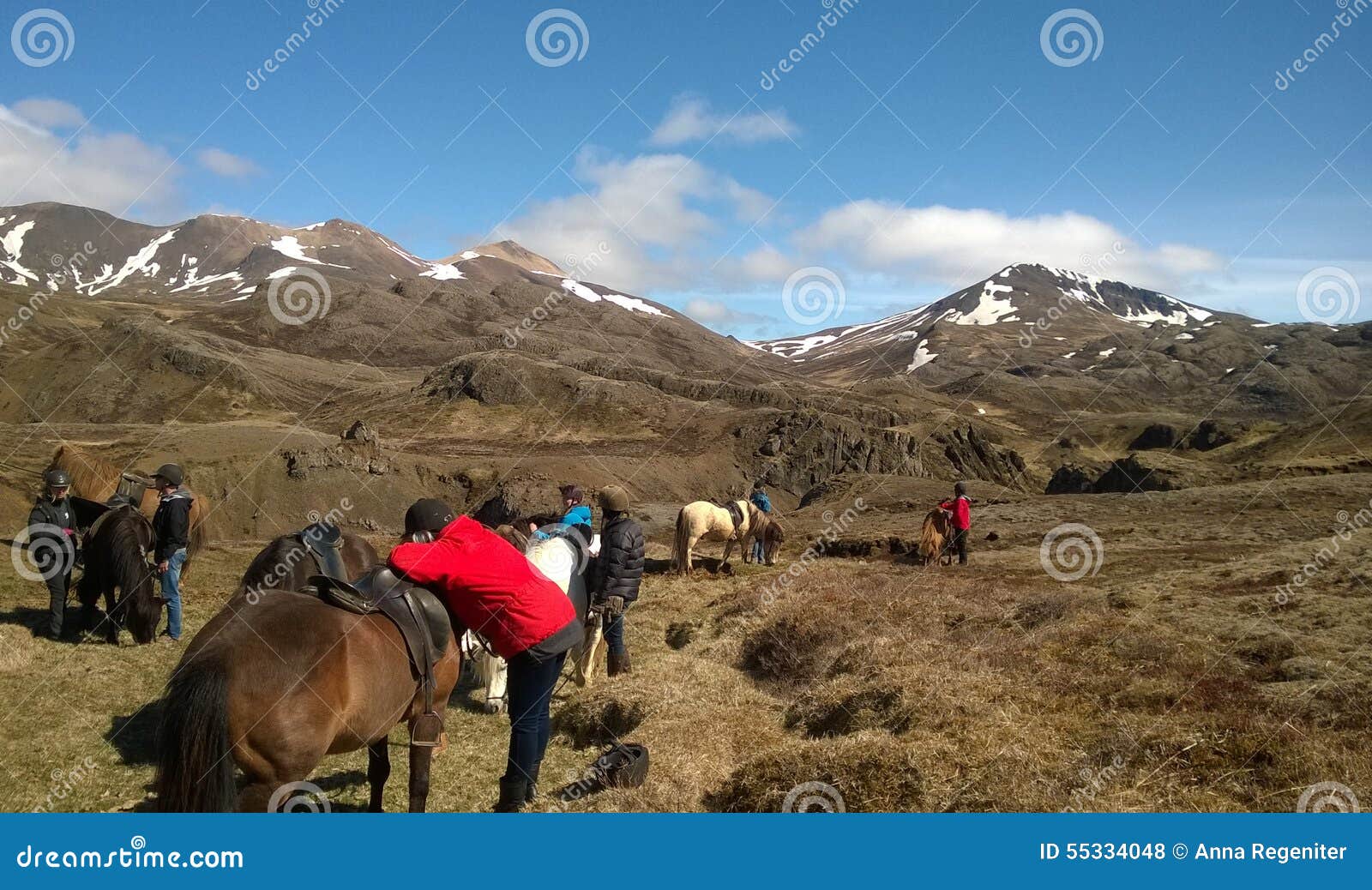 Icelandic Horse Riding Tour In Lava Fields Icelandic Horse Riding Tour In Lava Fields