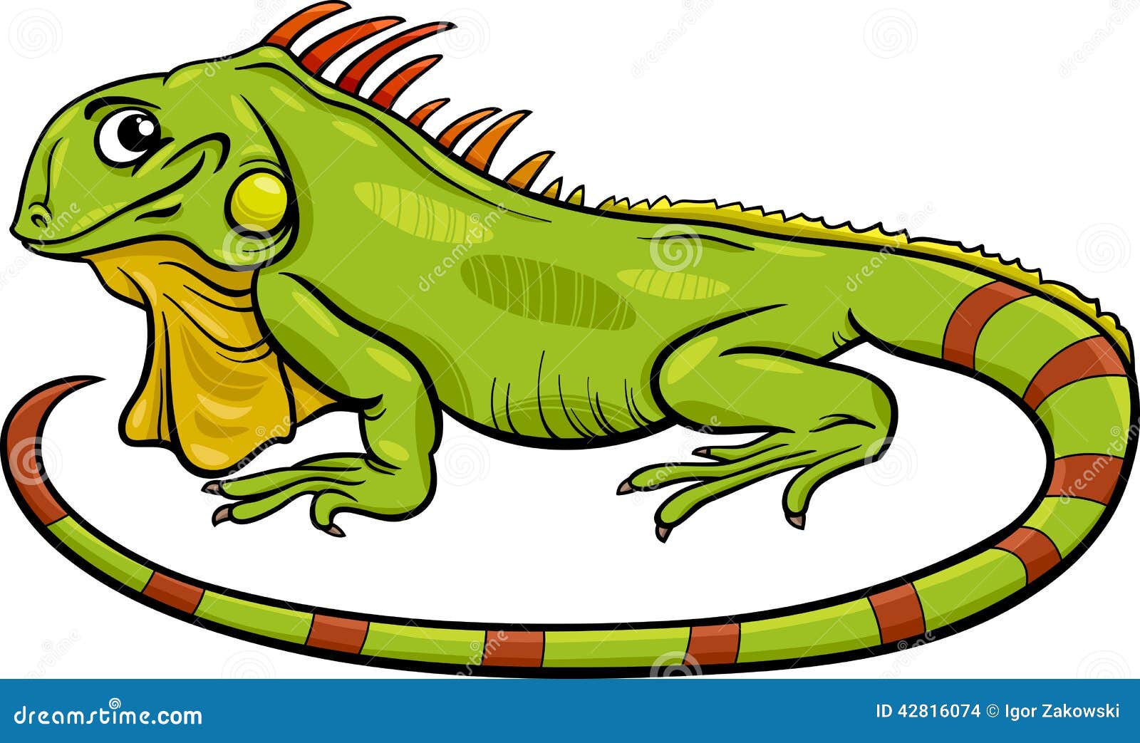 iguana vector