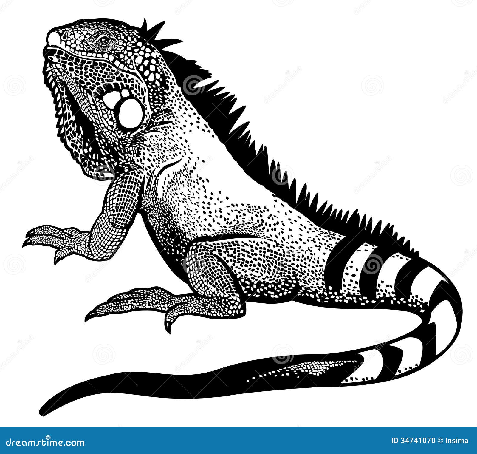 iguana clipart black and white - photo #7