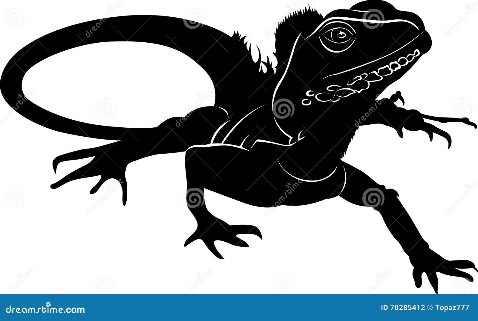 iguana clipart black and white - photo #20