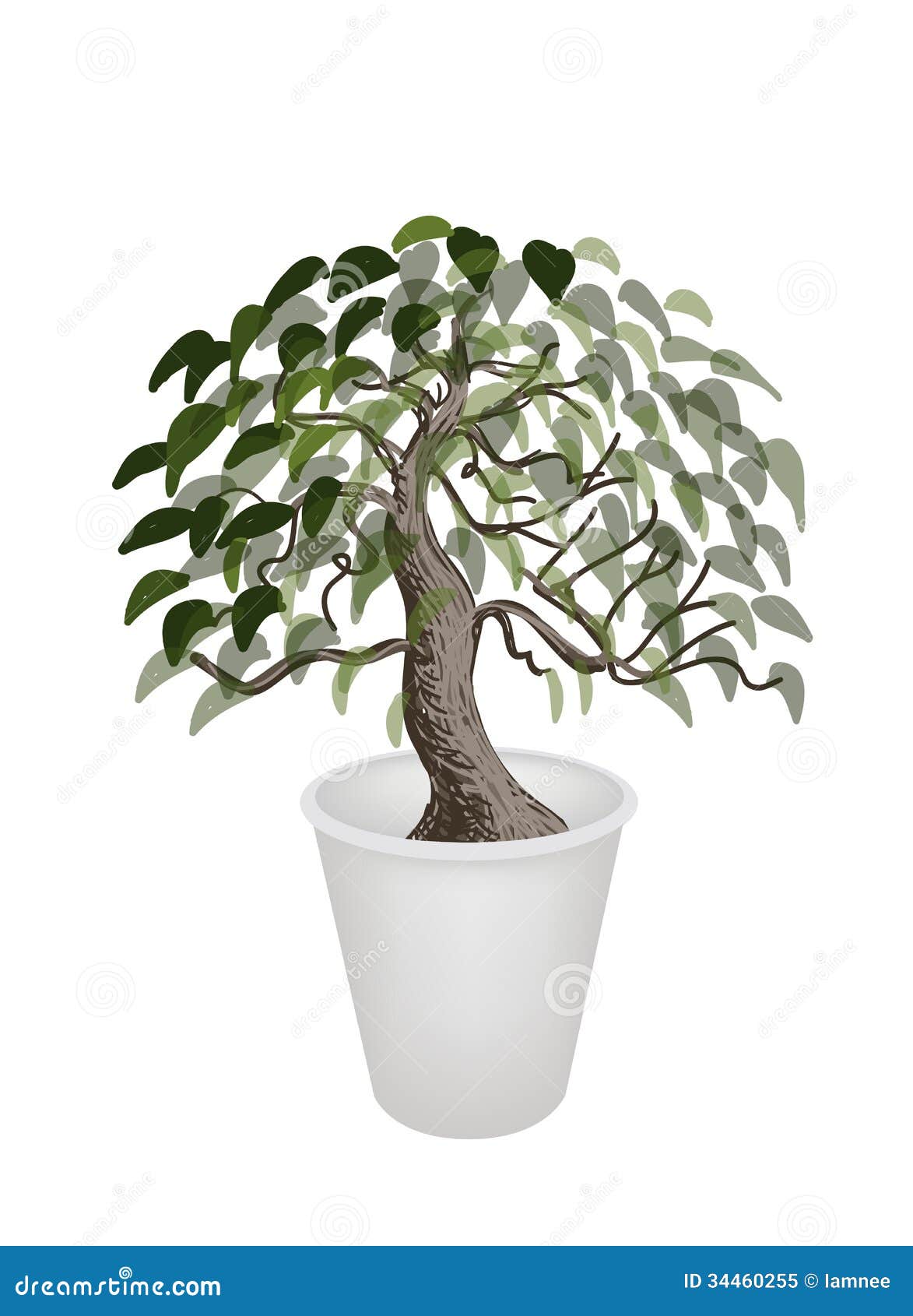 bonsai tree clipart - photo #47