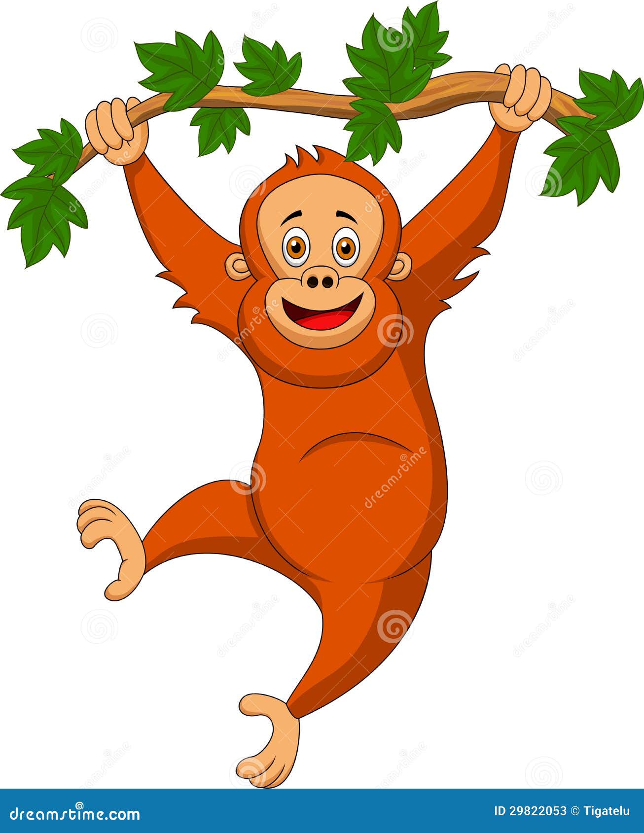 Orangutan Cartoon