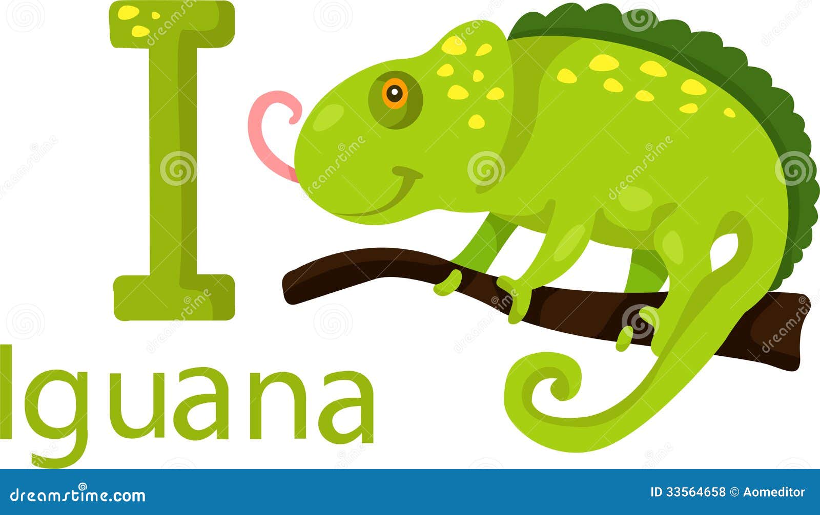 iguana vector