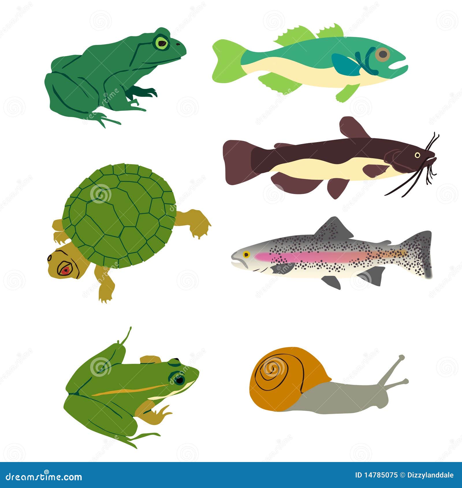 My Image 13