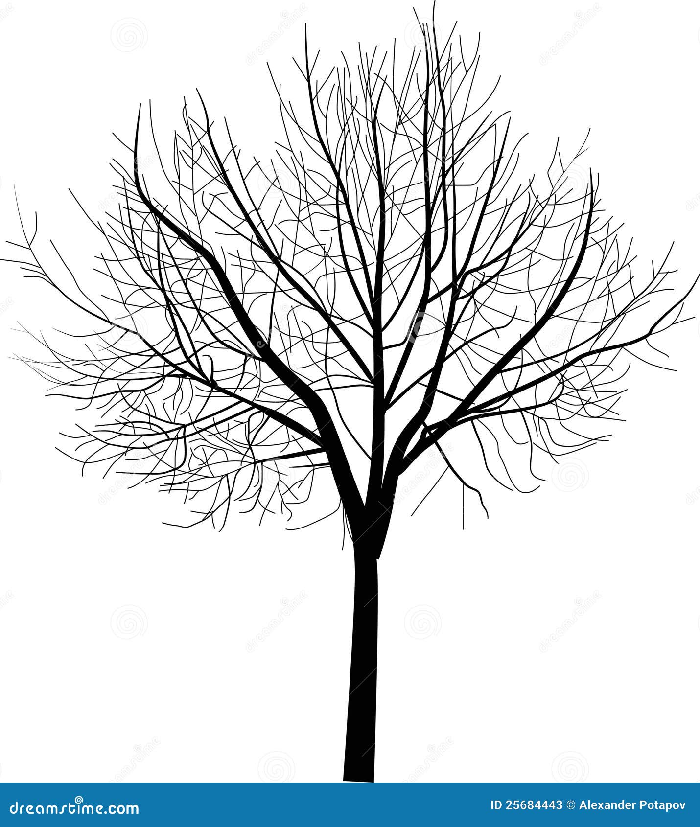 tree diagram clip art - photo #50