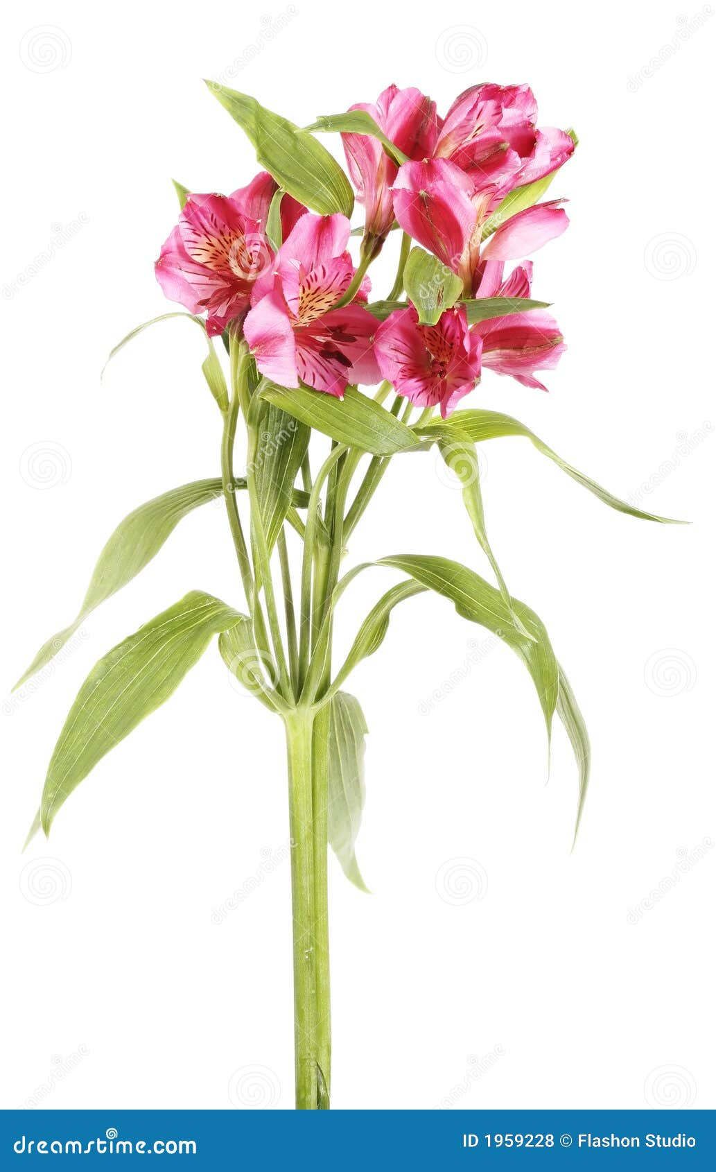 Pink Flower Bouquet Clip Art