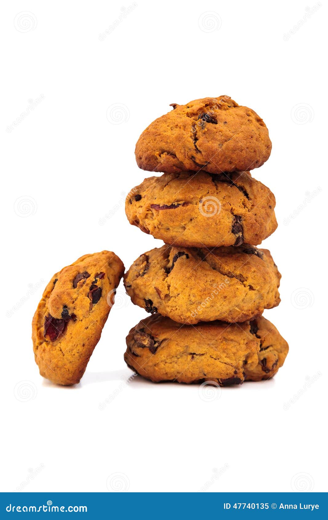 Chocolate Chip Shortbreads Chocolate Chip Shortbreads new photo Chocolate Chip Shortbreads Chocolate Chip Shortbreads new pictures