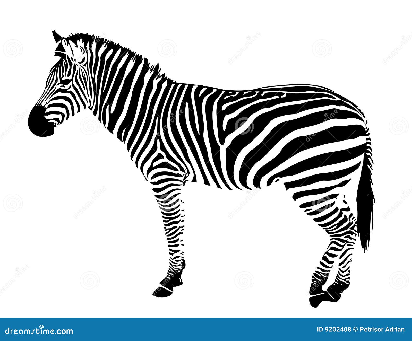 zebra silhouette clip art - photo #6