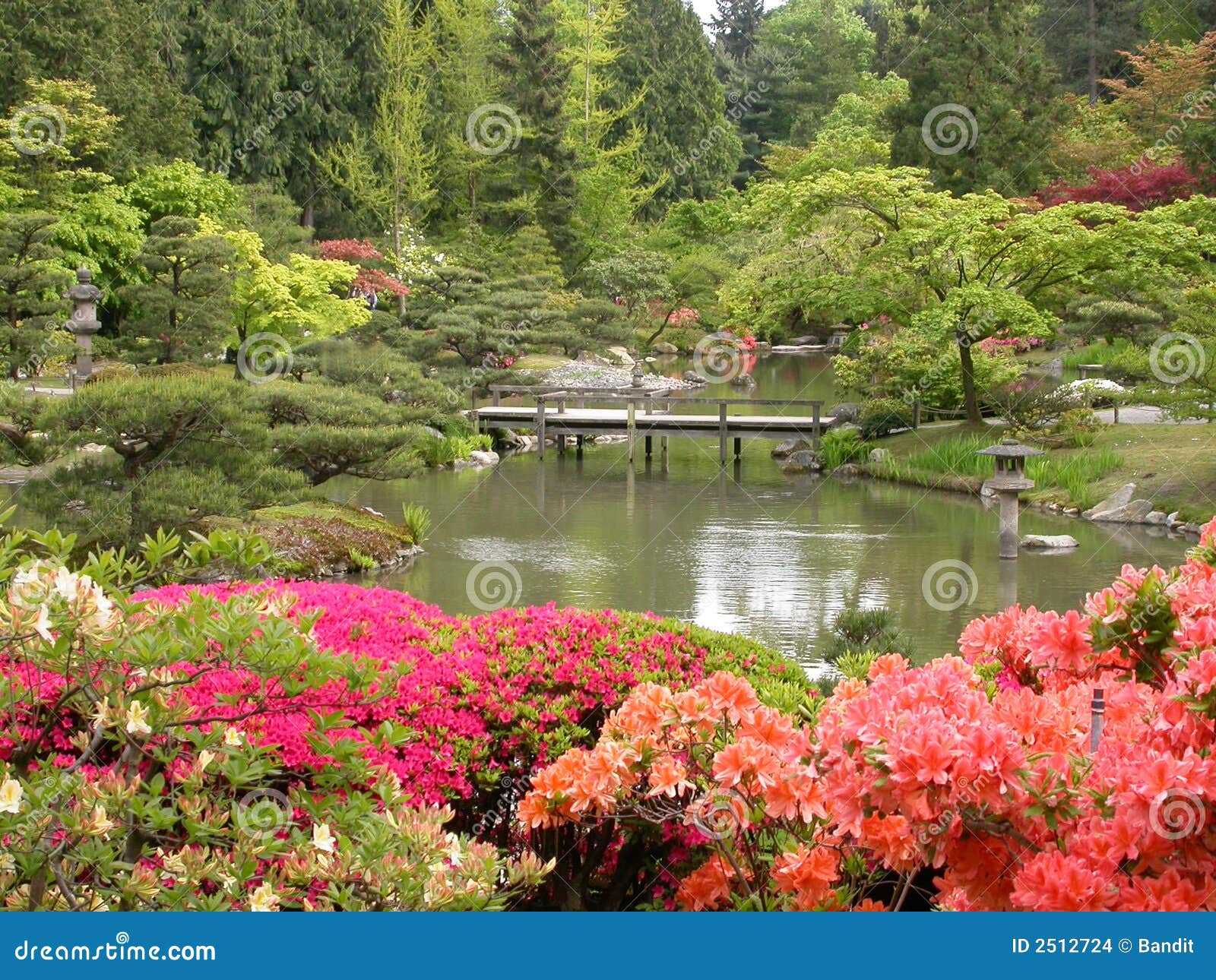 plantas jardim japones:Jardim japonês com as flores bonitas no primeiro plano, a ponte e a plantas jardim japones:Jardim japonês com as flores bonitas no primeiro plano, a ponte e a