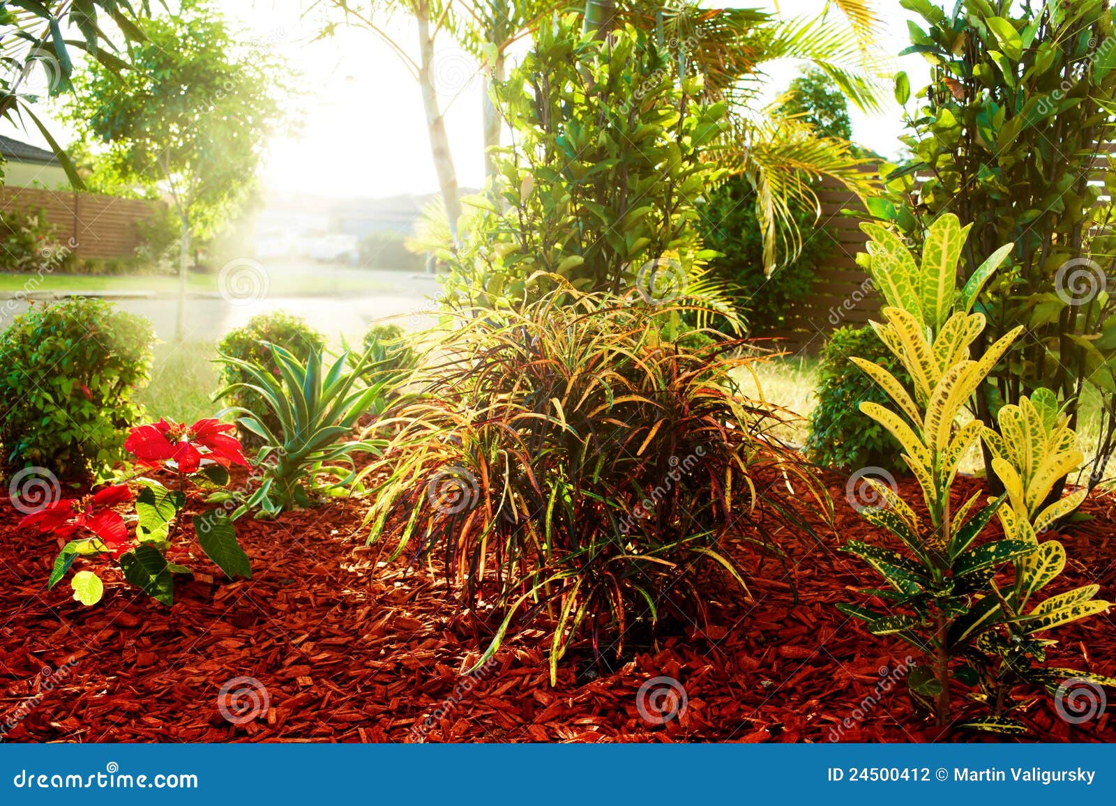 flores tropicais jardim:Colorful Tropical Garden Plants flores tropicais jardim:Colorful Tropical Garden Plants