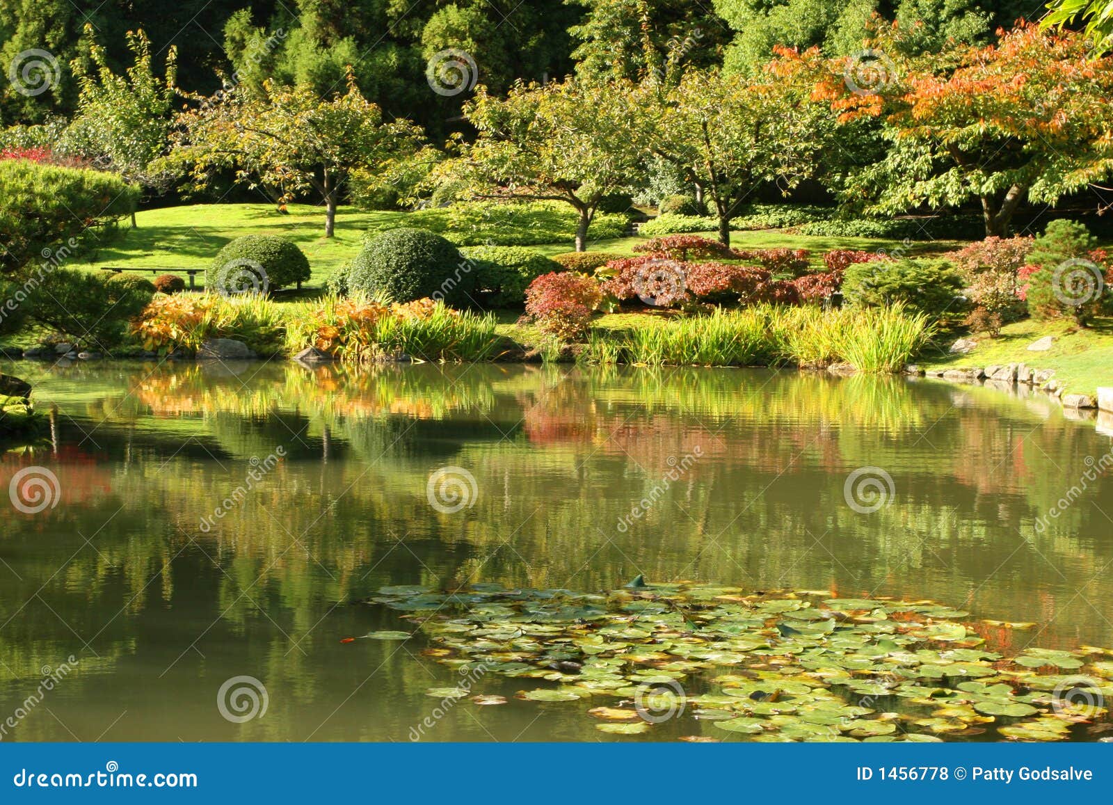 fotos jardins japoneses:Japanese Garden Photos Free fotos jardins japoneses:Japanese Garden Photos Free