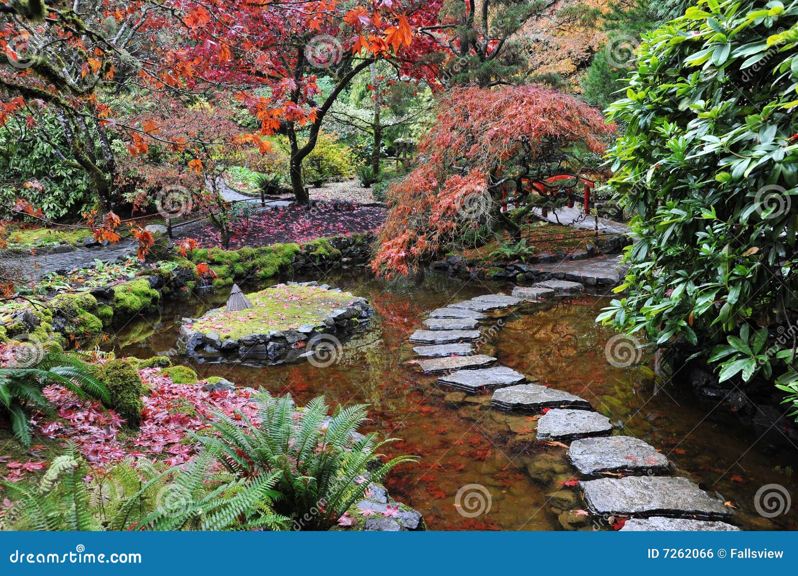 fotos jardins japoneses:jardim japonês dentro do butchart histórico jardina no outono fotos jardins japoneses:jardim japonês dentro do butchart histórico jardina no outono
