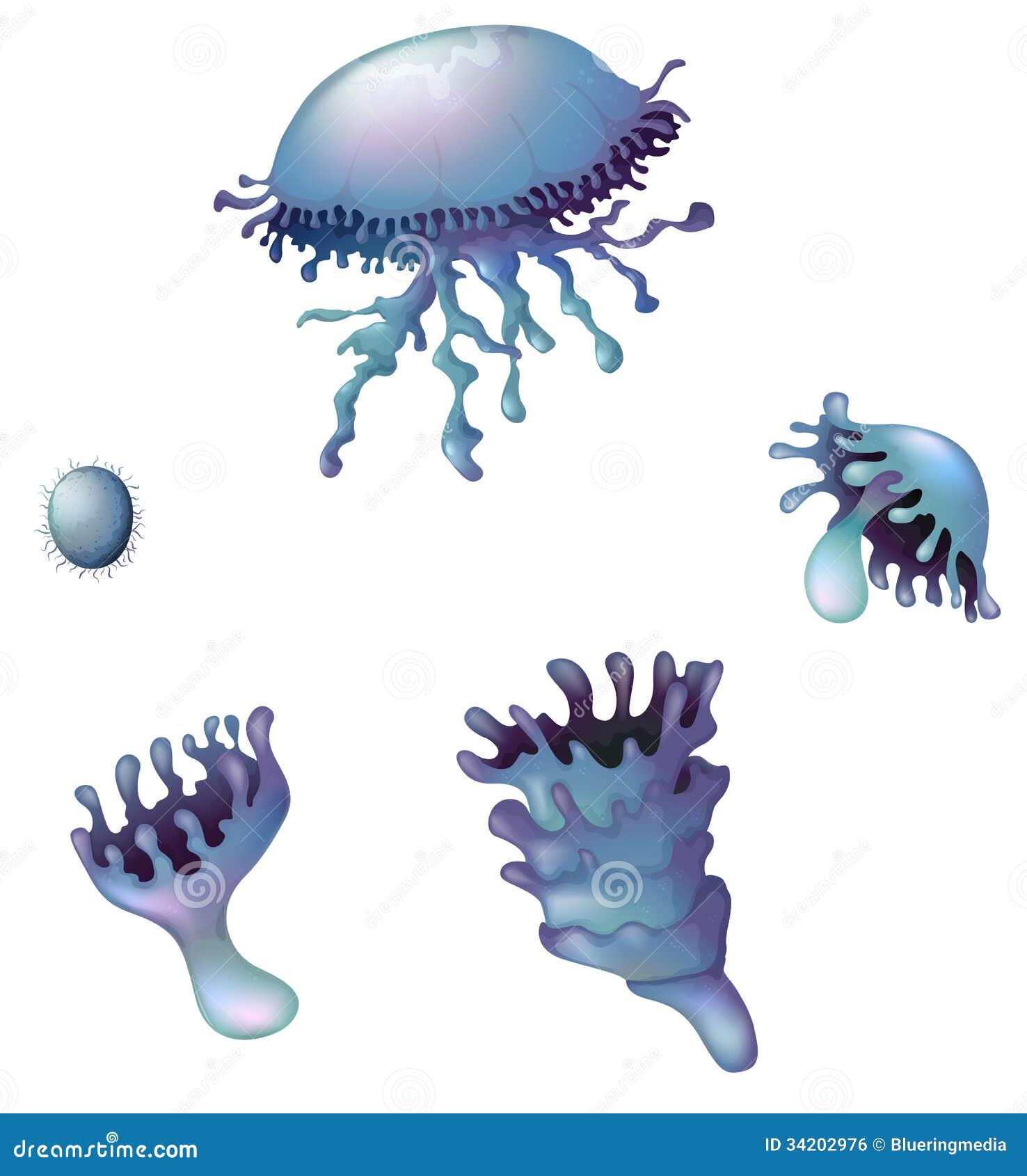 zooplankton clipart - photo #29