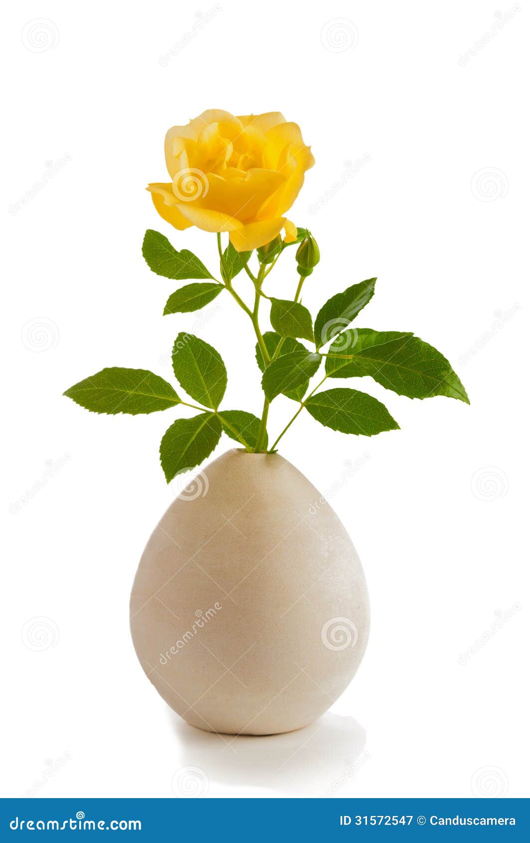 jolie  simple rose jaune sur une tige avec des feuilles de vert dans clay vase gris ou blanc sur