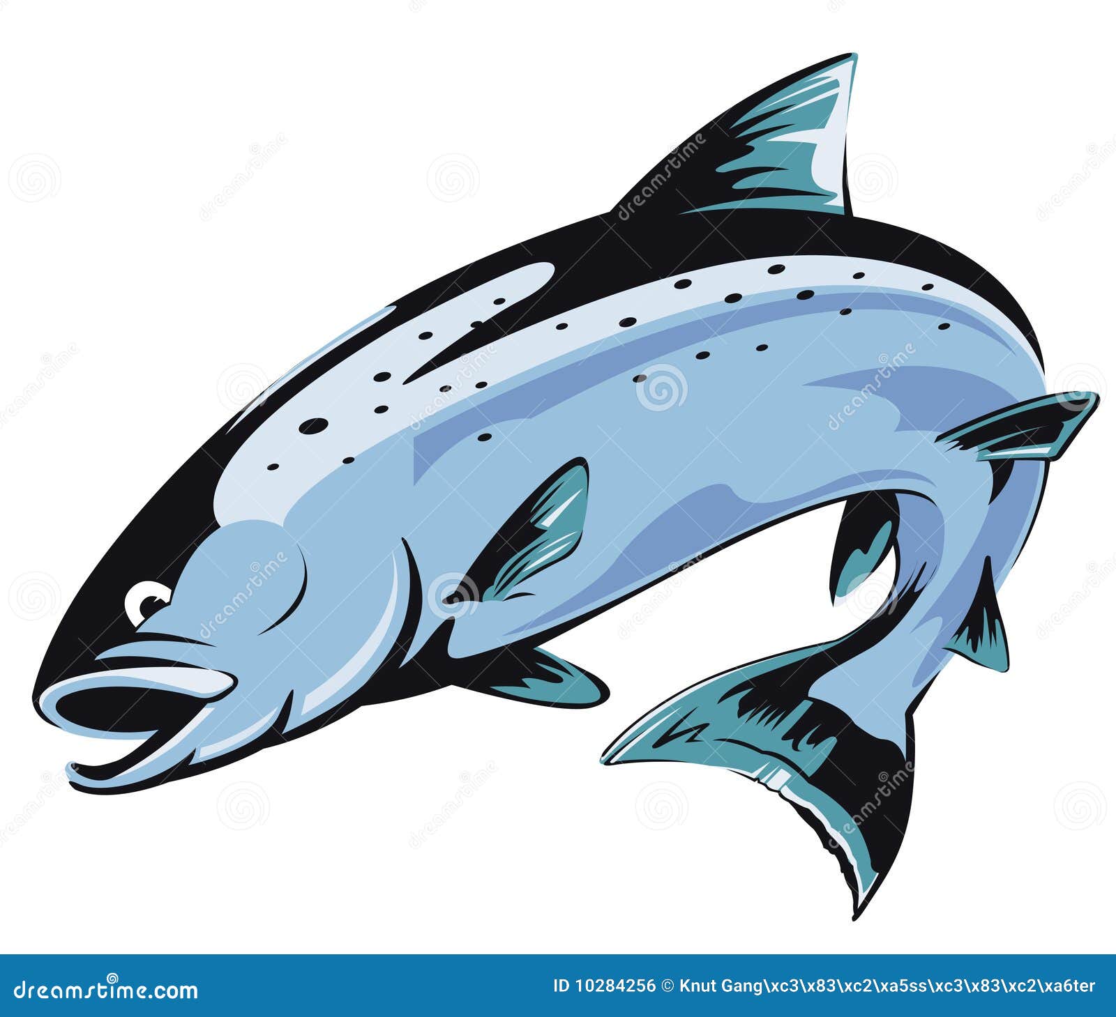 salmon fish clip art free - photo #15