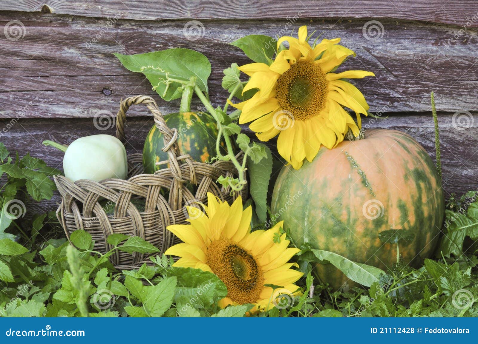 Kürbis Und Sonnenblumen Lizenzfreie Stockfotos - Bild: 21112428