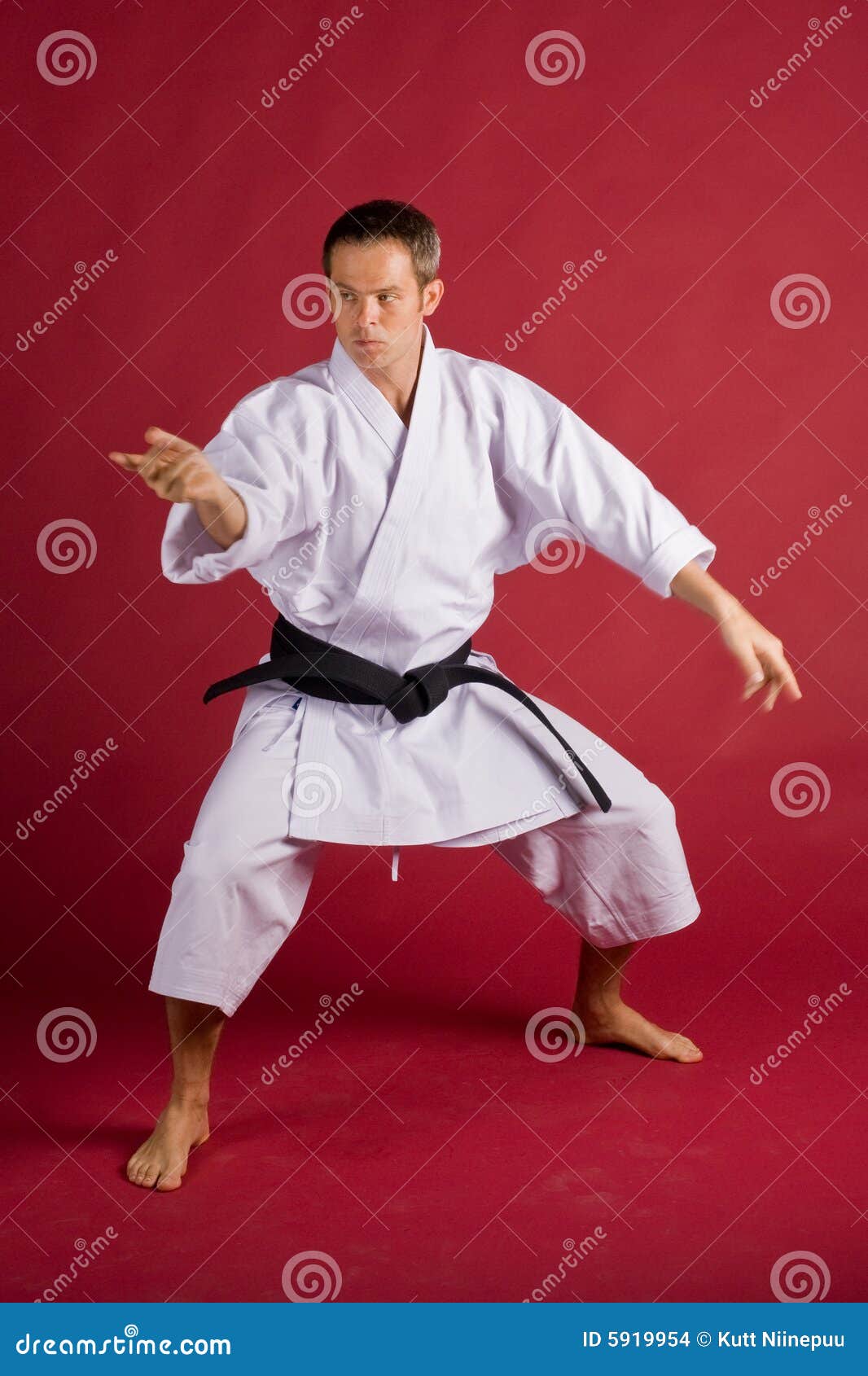 Karate Stance Stock Images Image 5919954