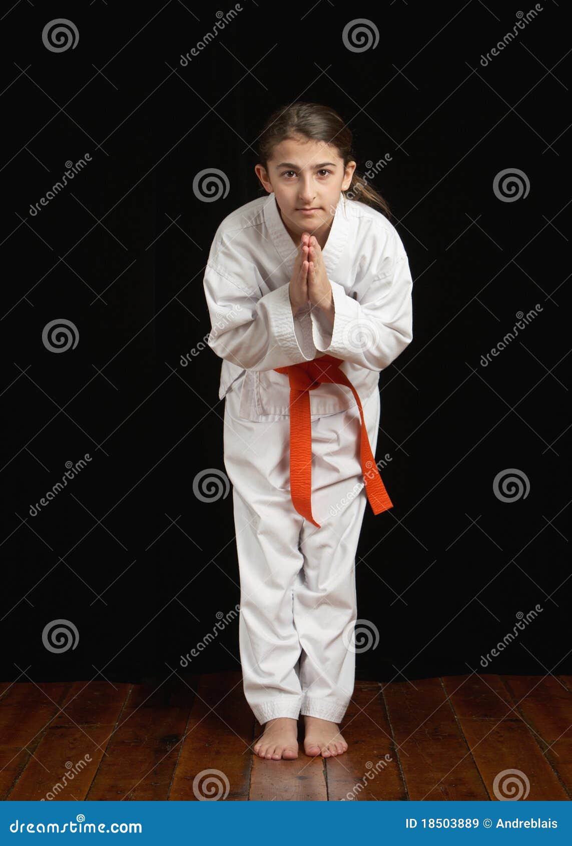 Karate Student Royalty Free Stock Images Image 18503889