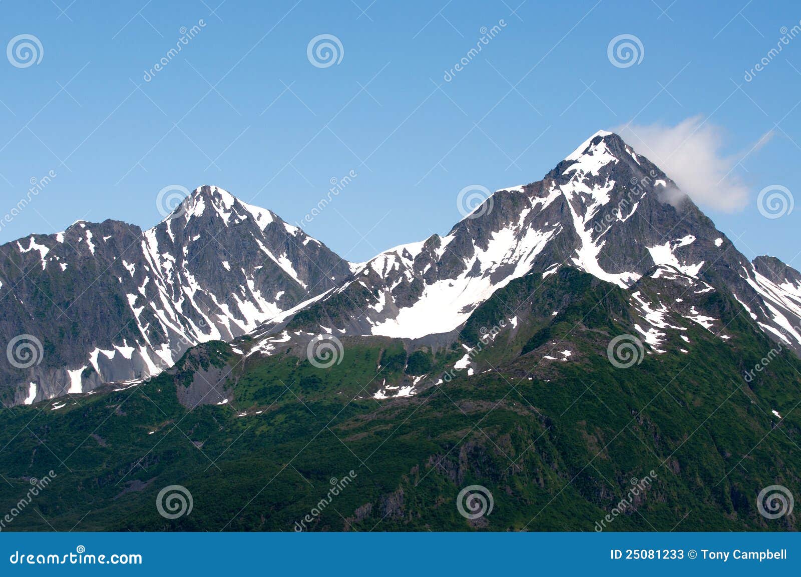 Kenai fjords national park coupons