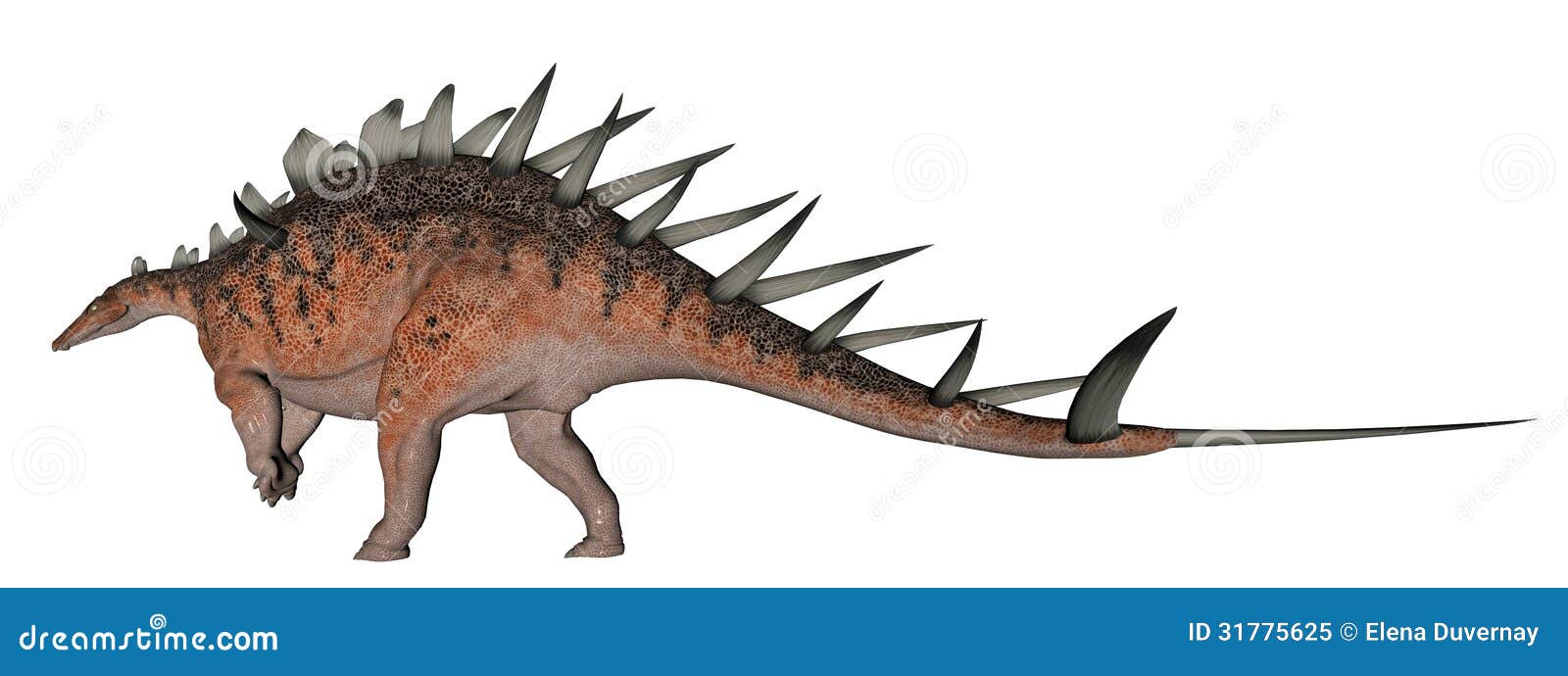 Kentrosaurus Dinosaur Royalty Free Stock Photo - Image: 31775625