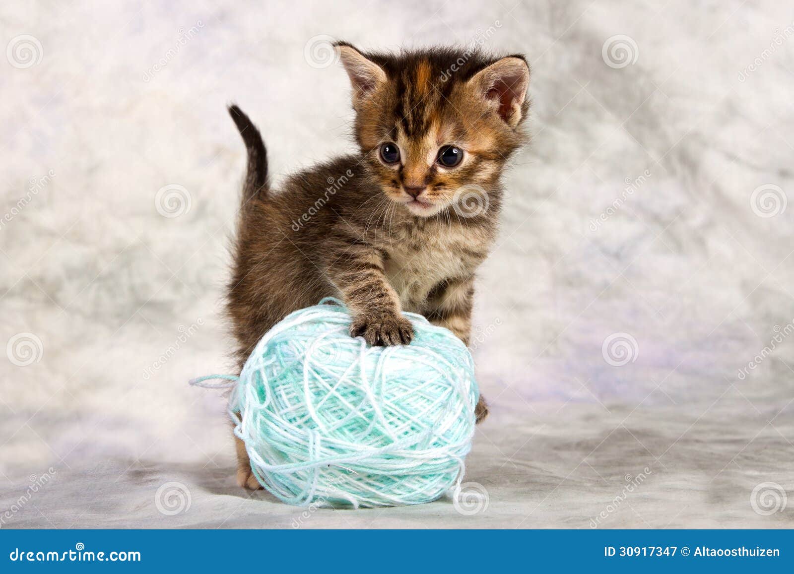 Kitten Play With Wool Royalty Free Stock Photography - Image: 30917347