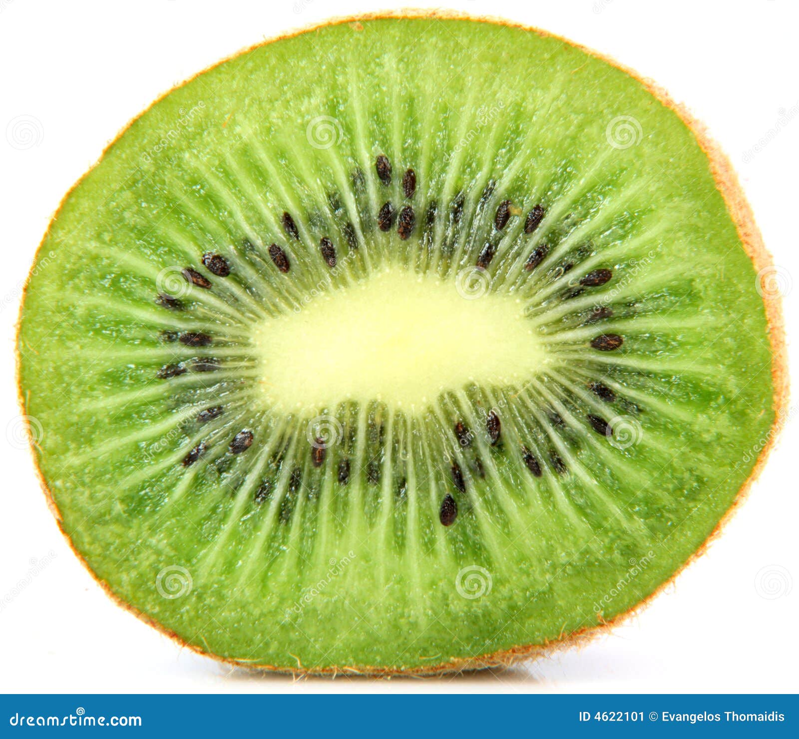 Kiwi Inside Stock Image Image 4622101