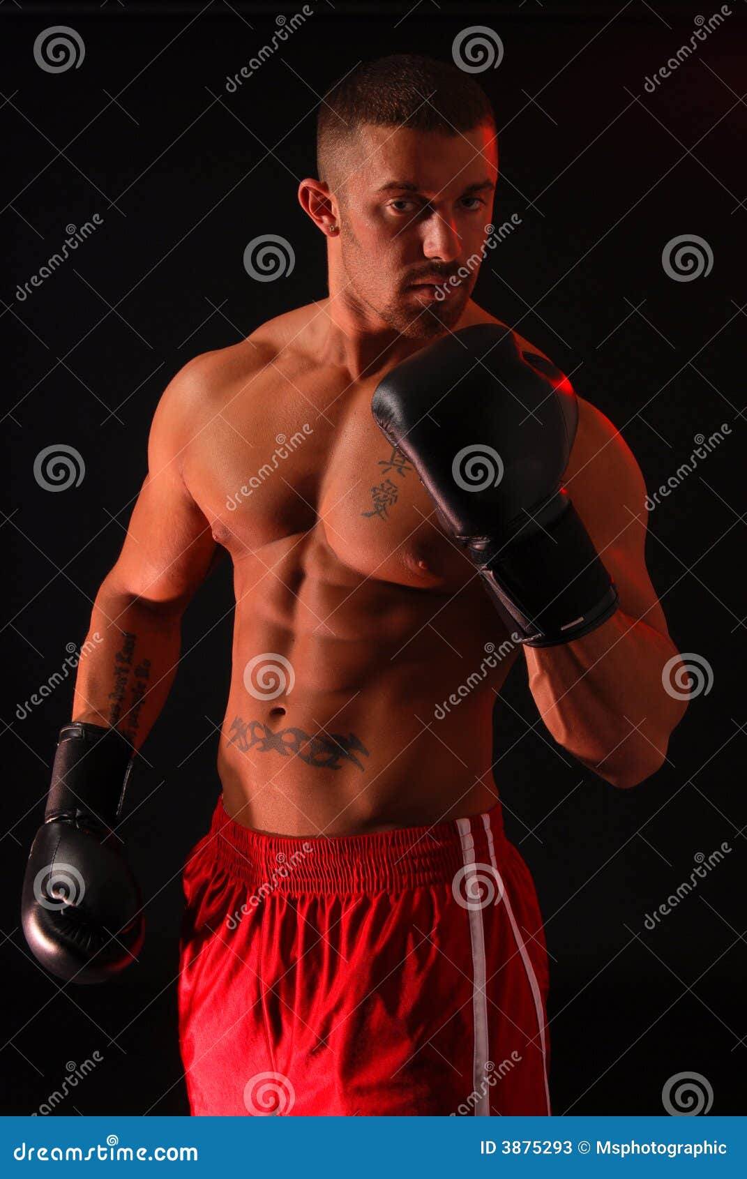 Knockout Stock Photos Image 3875293