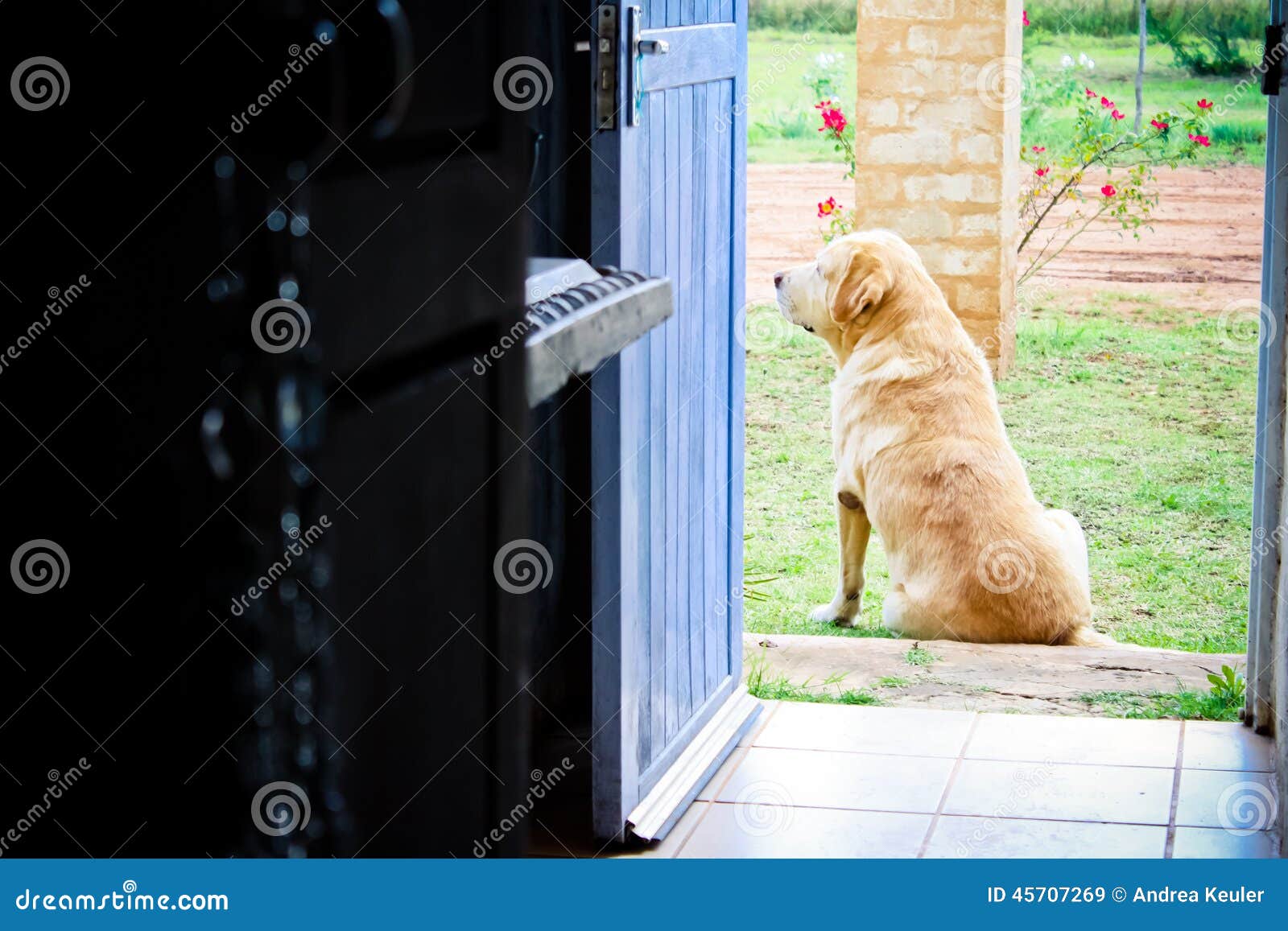 guarding the golden door Guarding the golden door contains plenty of information, but it’s lacking the human element that can make history compelling a single narrative about an immigrant may not give readers a sense of the scope of the issue, but it can make a bigger impact, especially if it is couched in a discussion that brings in some of the larger issues. guarding the golden door Guarding the golden door contains plenty of information, but it’s lacking the human element that can make history compelling a single narrative about an immigrant may not give readers a sense of the scope of the issue, but it can make a bigger impact, especially if it is couched in a discussion that brings in some of the larger issues.