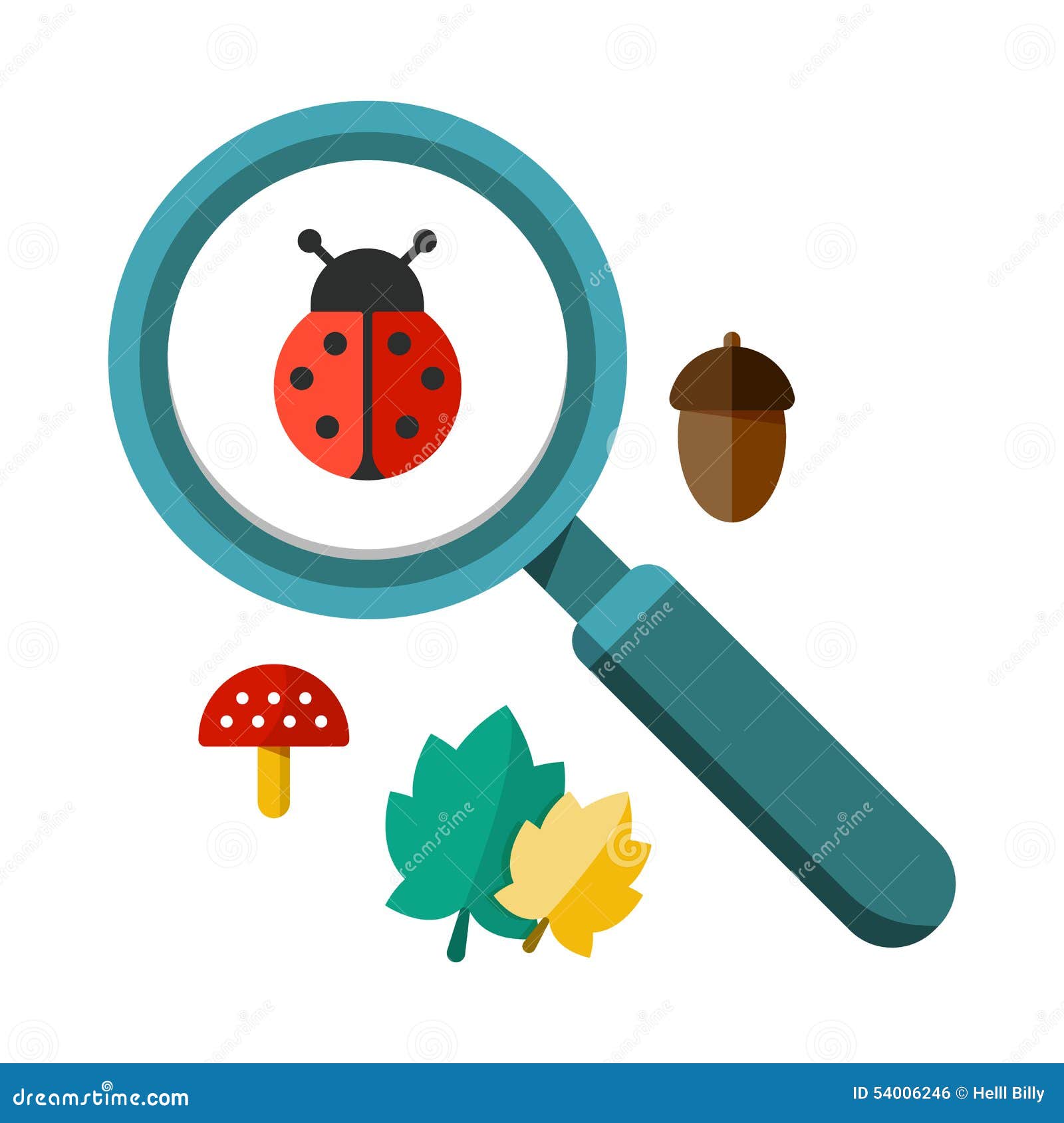 Ladybug Web Design Ladybug Web Design