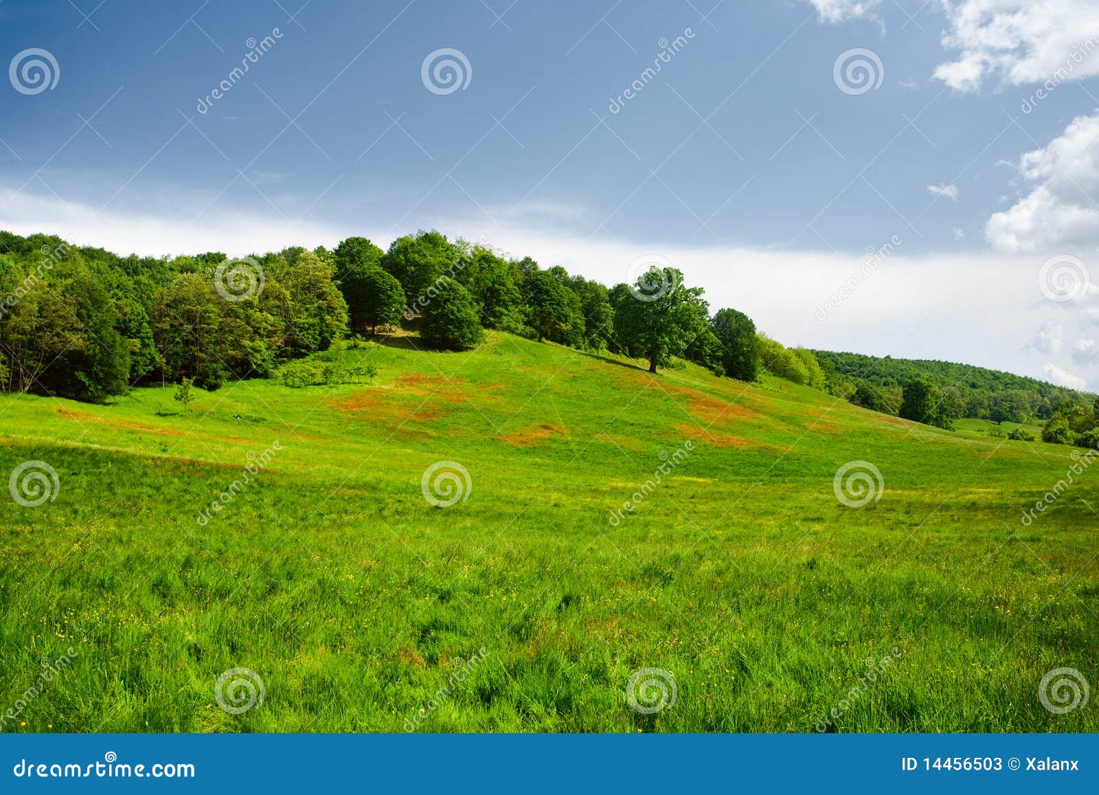 Vibrant landscape with hills and forest under blue sky.