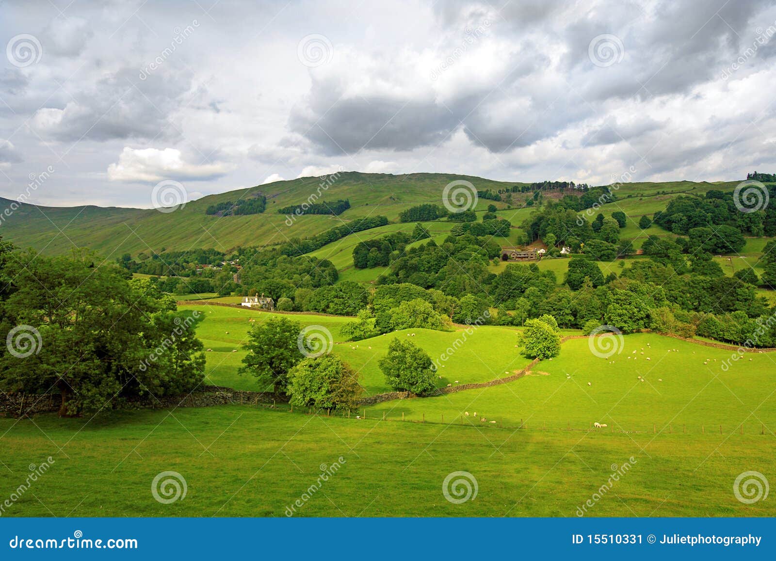 Landscape with hills and stone fences, Lake District.