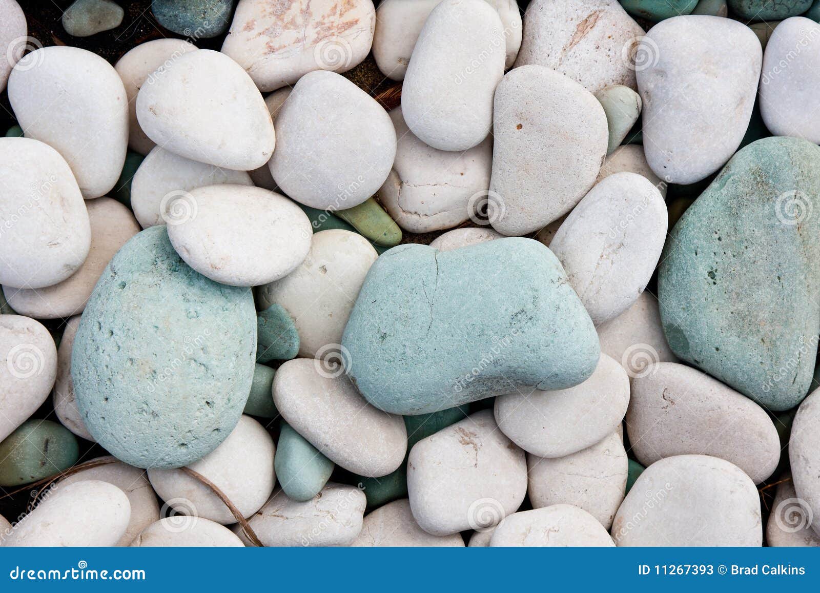 White Garden with Rocks