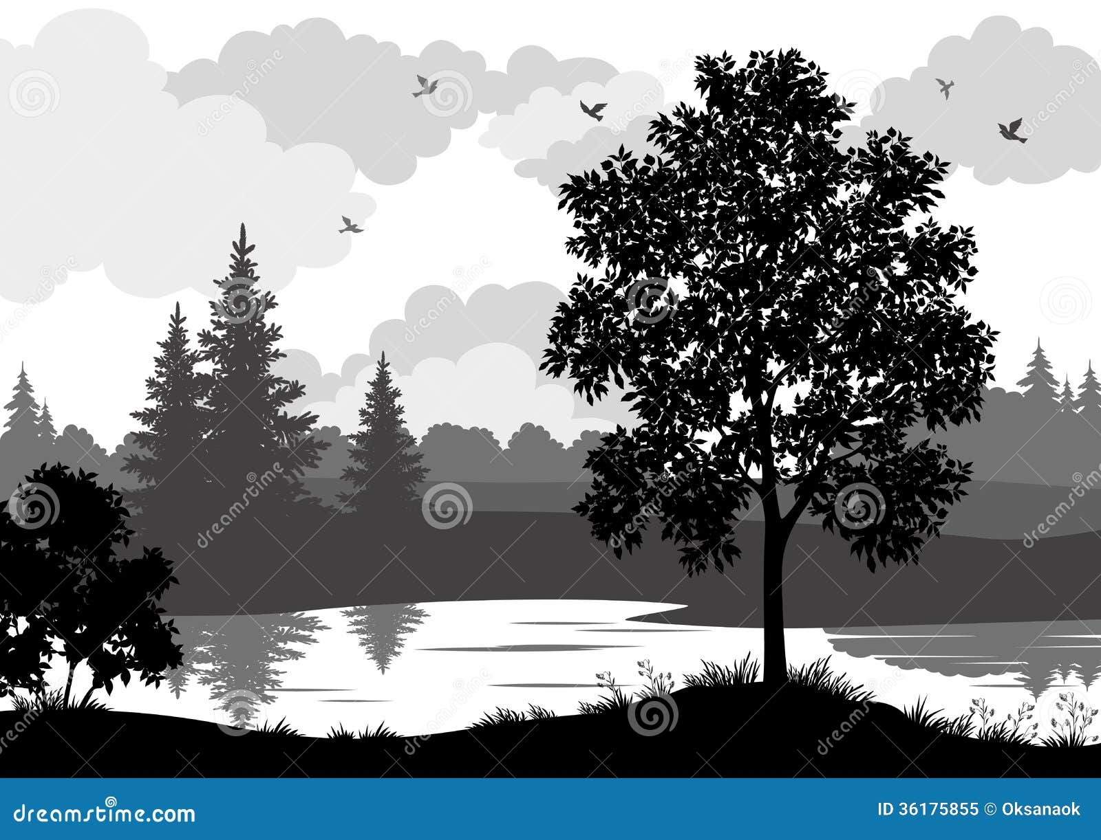 Landscape, Trees, River And Birds Silhouette Royalty Free Stock Photo ...