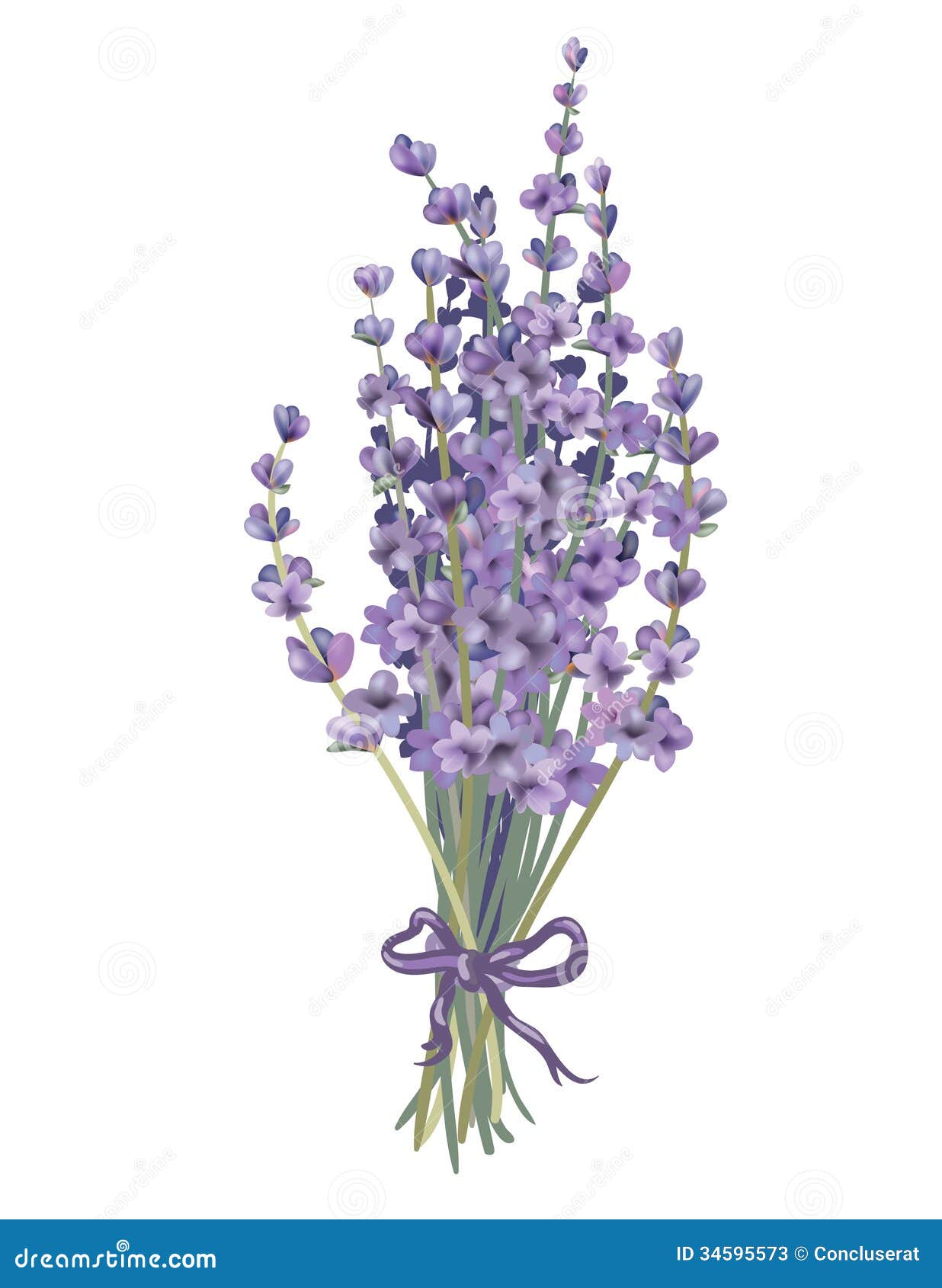 Vintage Lavender Illustration Lavender bouquet