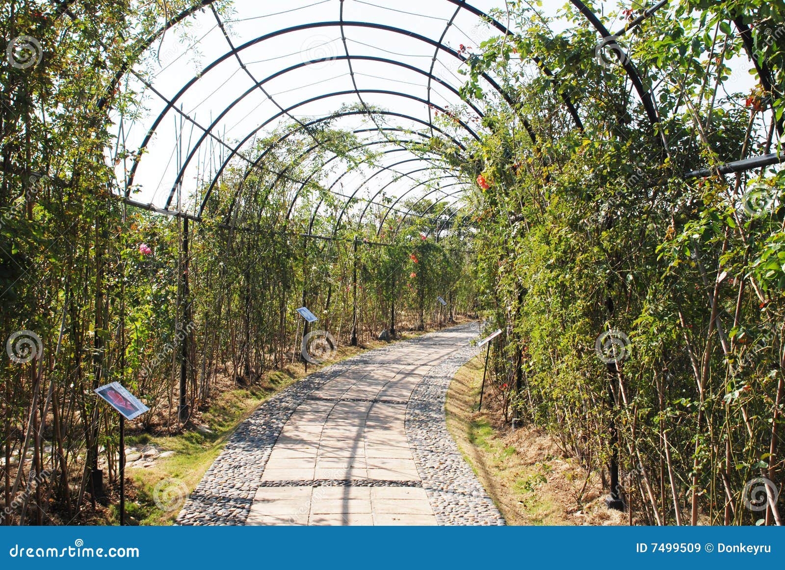 Pergola de jardin en fer forgé