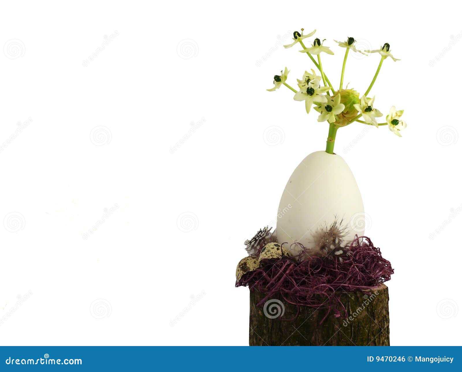 Coquilles Decoration Exterieur Coquilles Decoration Exterieur