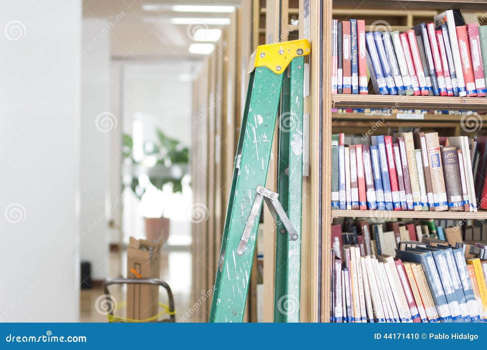 Ladder against a bookshelf in publc school college library.