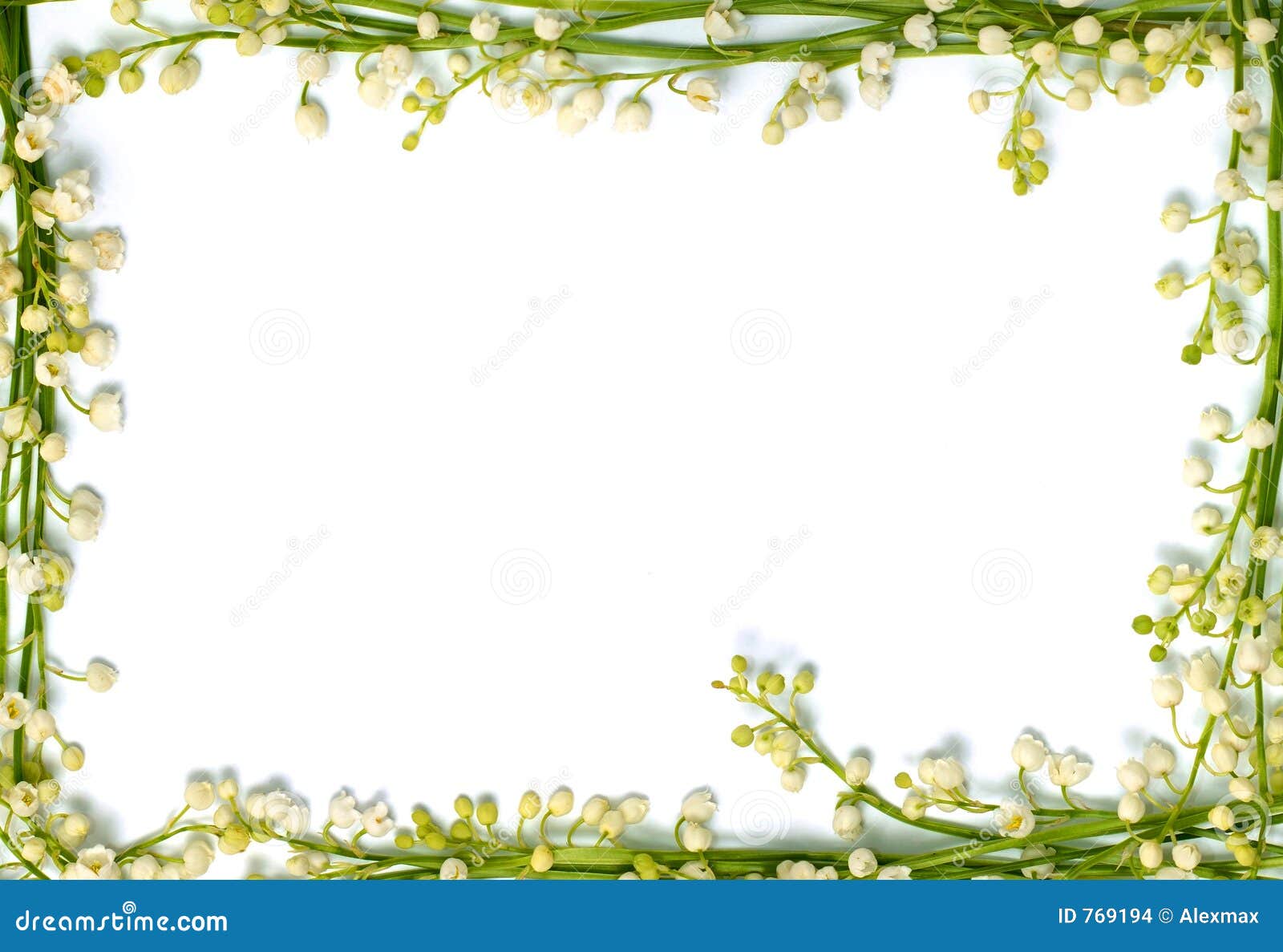 Lily Of The Valley Flowers On Paper Frame Border Isolated Horizo Stock
