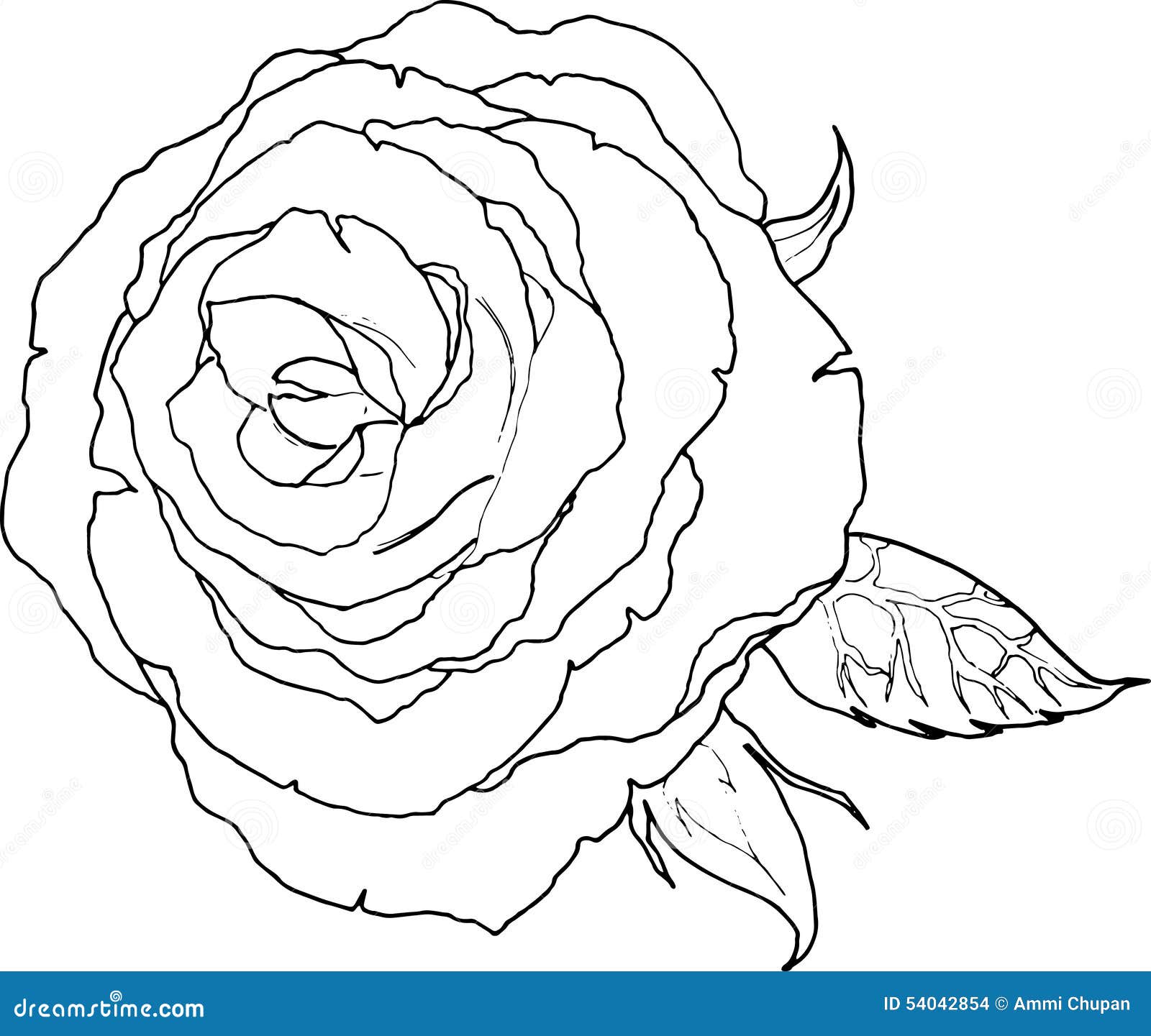 Black And White Rose Artwork