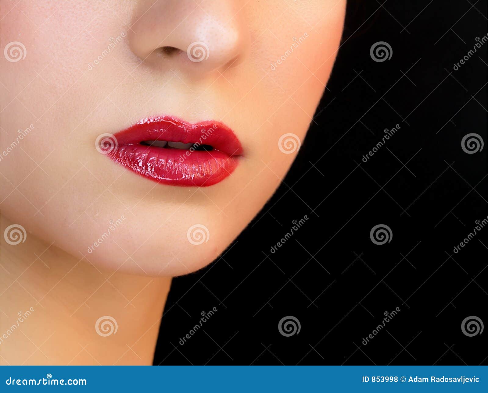 Lips And Nose Royalty Free Stock Photos Image 853998