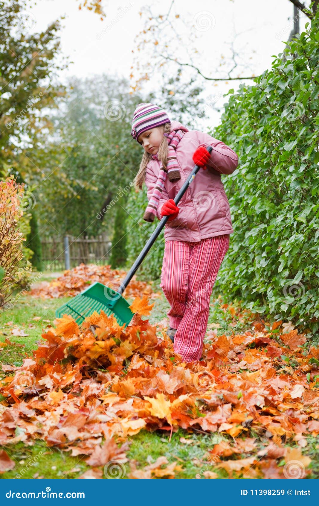 Little girl rake colorful fallen autumn leaves in garden.