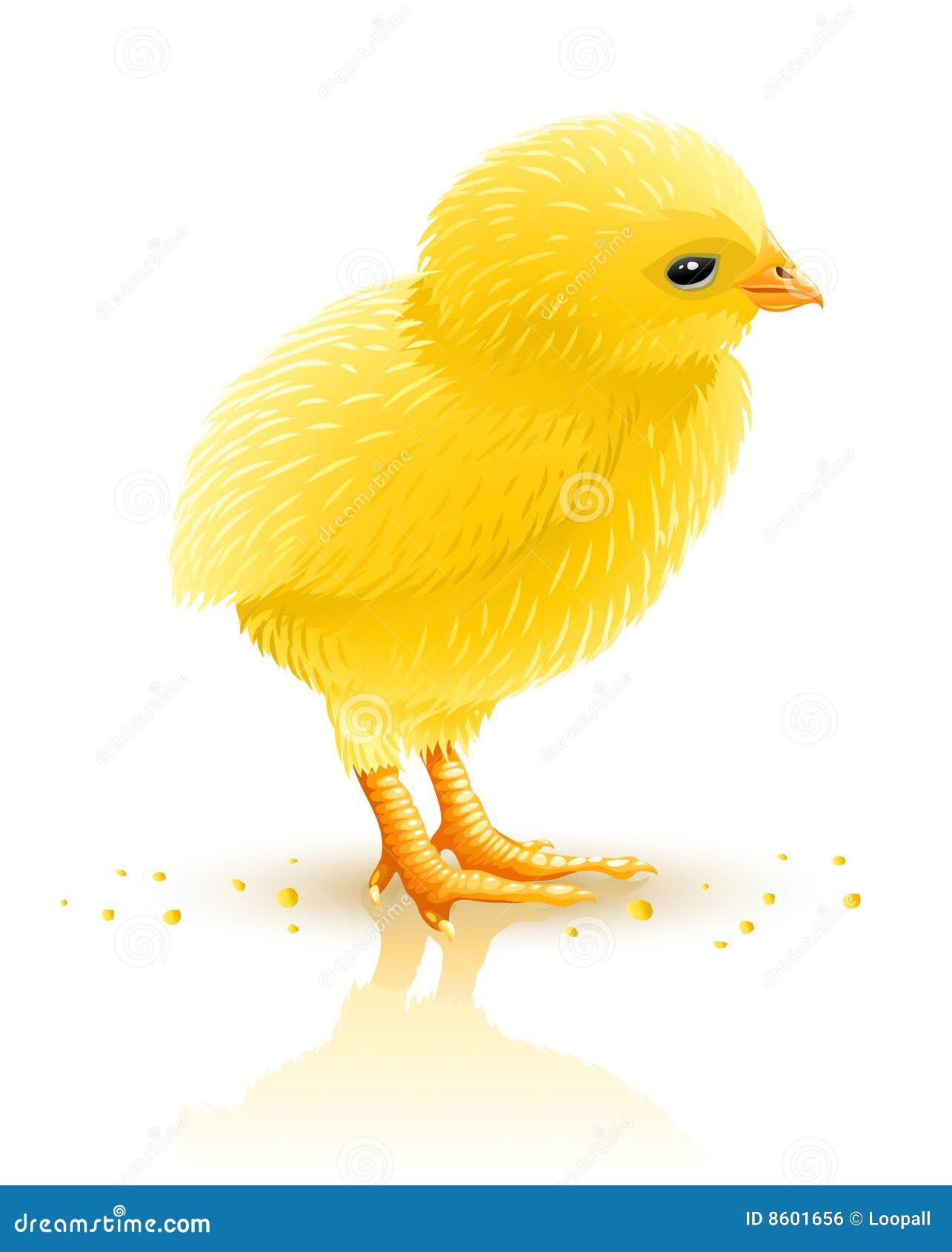 clipart yellow chick - photo #29