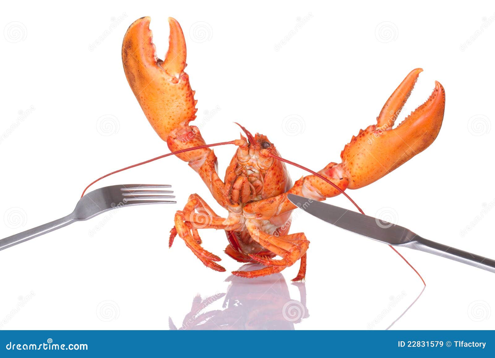 Lobster With Fork And Knife Royalty Free Stock Images ...