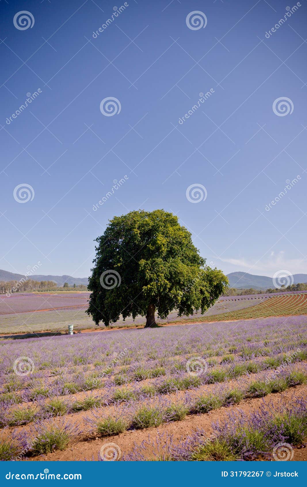 lone tree singles & personals Top adult singles chatline phone it is not required to be registered on the dating site to use the system includes both a phone personals section and . lone tree singles & personals Top adult singles chatline phone it is not required to be registered on the dating site to use the system includes both a phone personals section and .