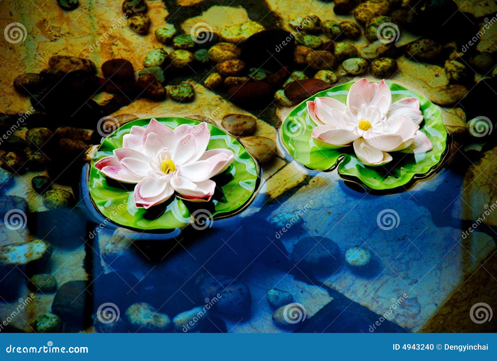 Lotus Flowers On Water Stock Photo - Image: 4943240