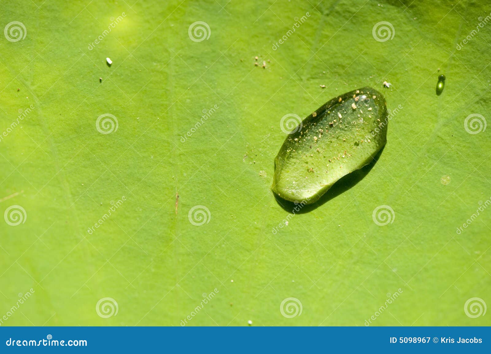 macro of water drop on human skin royalty free stock images image 25528569 macro drop of water on leaf royalty free stock photography image 5098967 macro of water drop on human skin royalty free stock images image 25528569 macro drop of water on leaf royalty free stock photography image 5098967