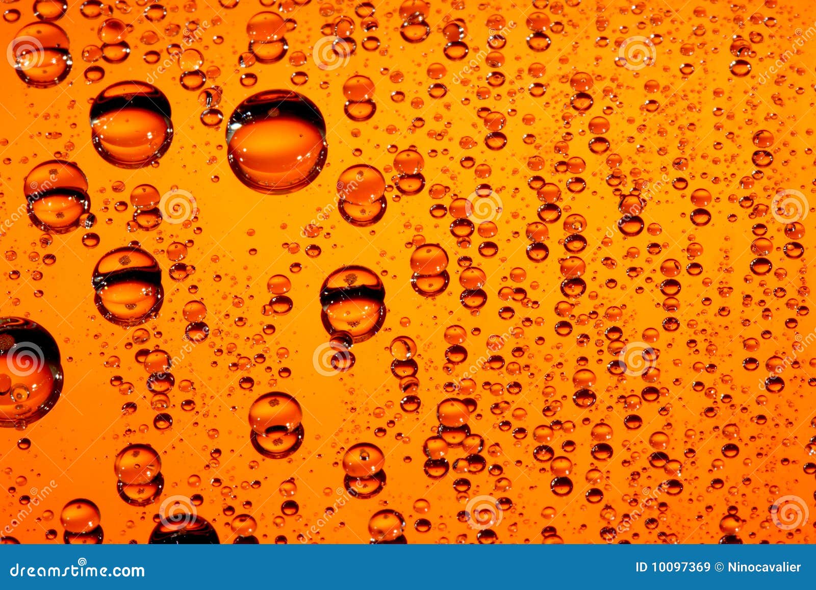 macro of water drop on human skin royalty free stock images image 25528569 macro of orange water drops royalty free stock images image 10097369 macro of water drop on human skin royalty free stock images image 25528569 macro of orange water drops royalty free stock images image 10097369